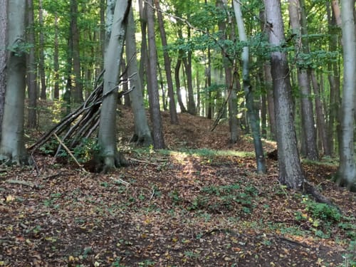 Thalmässing 4 : Premiumwanderweg Jurakante