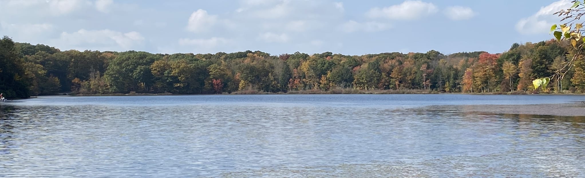 Mountain Mud Pond and Boneyard Loop Map, Guide Pennsylvania AllTrails