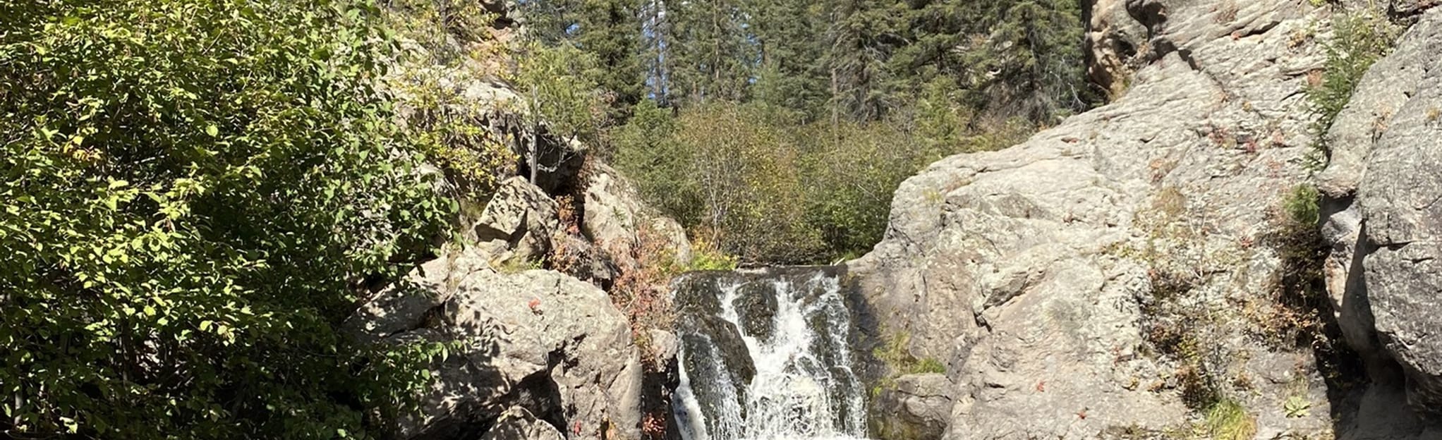 Jemez Falls Trail New Mexico AllTrails