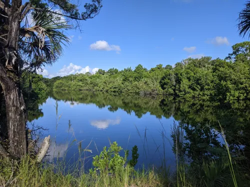 10 Best Trails and Hikes in Merritt Island | AllTrails