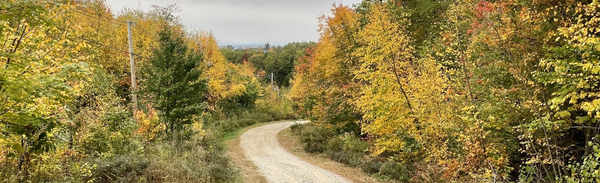 Fort Mountain 95 Reviews, Map New Hampshire AllTrails