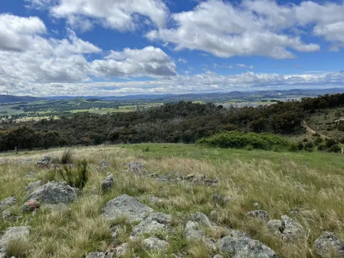Best Forest Trails in Molonglo River Reserve | AllTrails