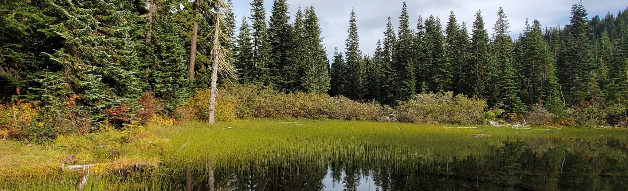 Thorp Lake via Thorp Creek Trail, Washington 135 Reviews, Map AllTrails