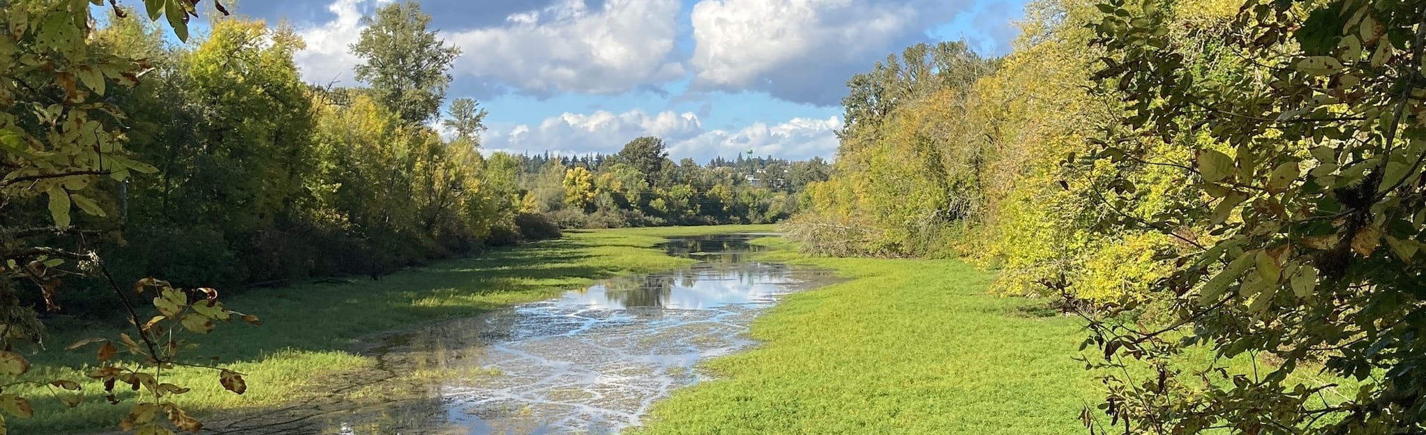 MintoBrown Island Park 874 Reviews, Map Oregon AllTrails