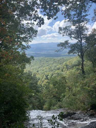 are dogs allowed at amicalola falls