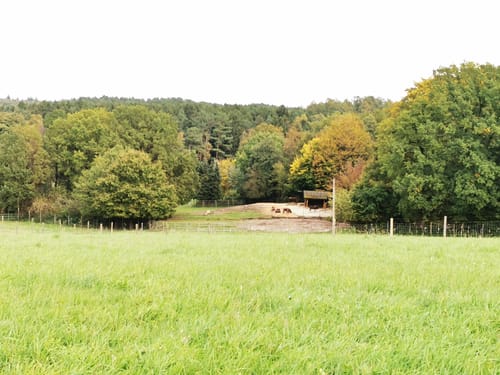 Nordic Walking 5S Hanstedt
