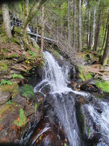 Sankt Peter - Kapfenberg - Zweribachfälle