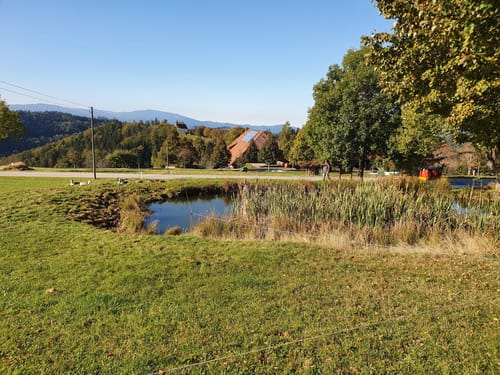 Sankt Peter - Kapfenberg - Zweribachfälle