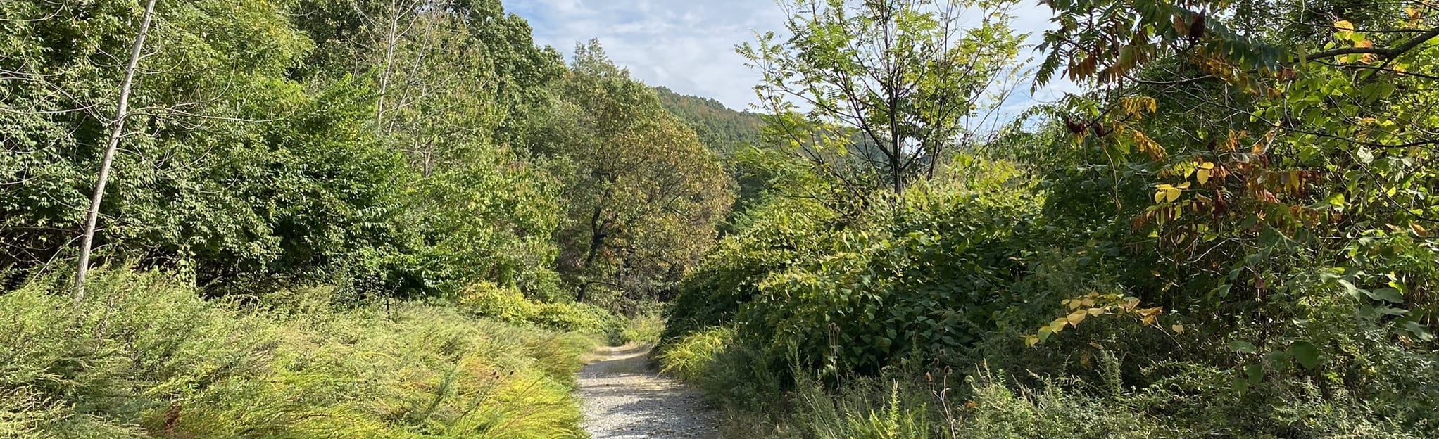Neversink Loop via Exeter Trail 128 Reviews, Map Pennsylvania