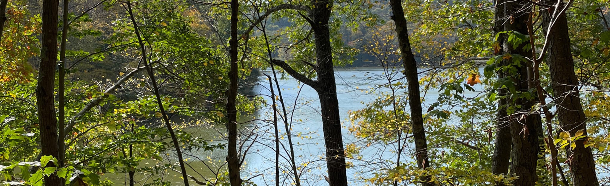 Armstrong and Richard’s Preserve: 36 Reviews, Map - New York | AllTrails