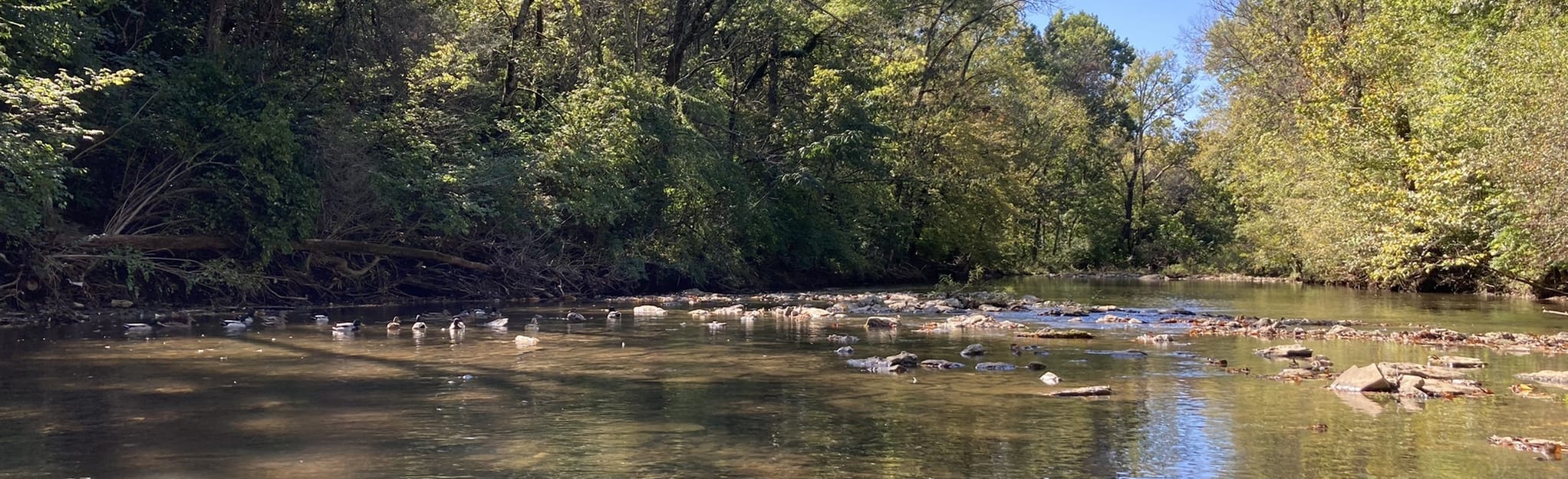 drakes creek park july 4th