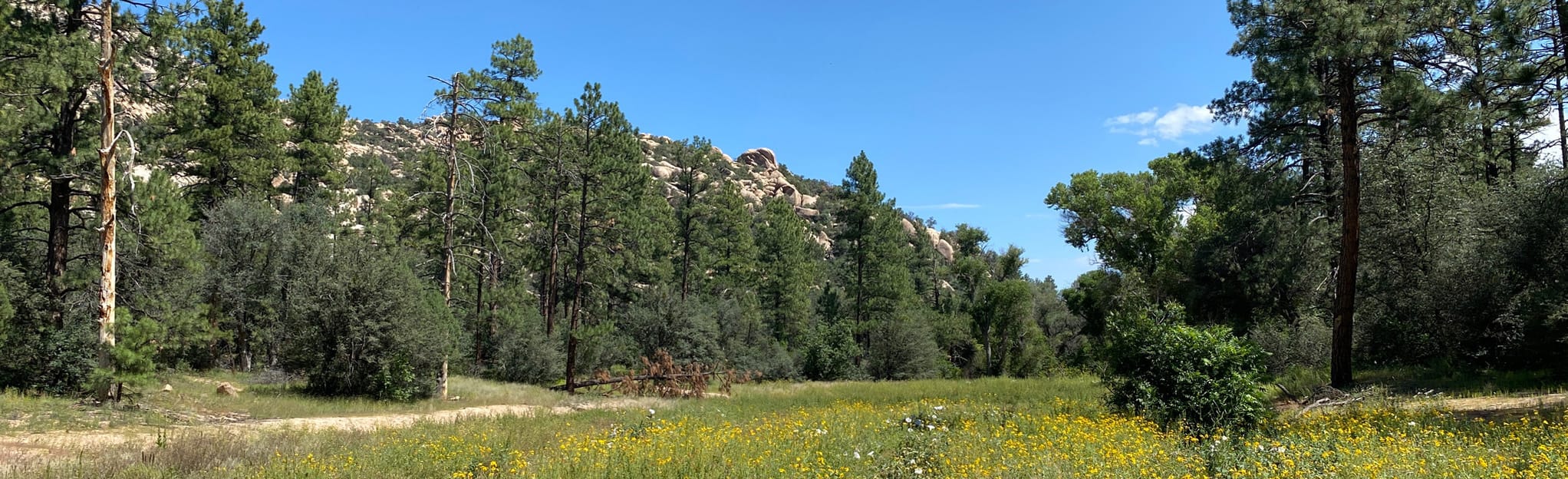 GMB Clark’s Spring Trail 40, Arizona 108 Reviews, Map AllTrails