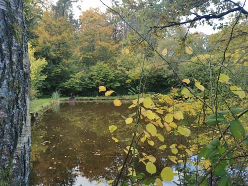 Aarquelle Rundweg