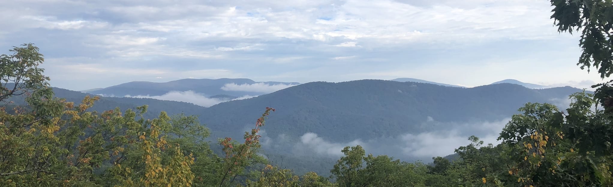 Buck Hollow Trail and Buck Ridge Trail Loop: 365 Reviews, Map ...