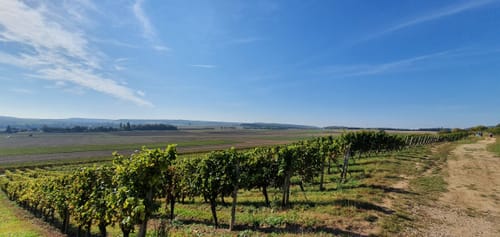 Heideblick (Hiwweltour)