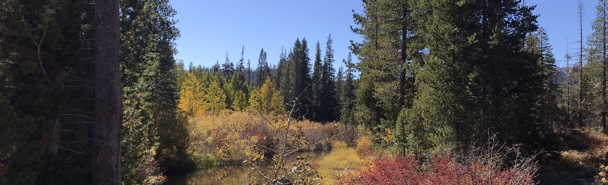 Grassy Lake Trail, California 14 Reviews, Map AllTrails