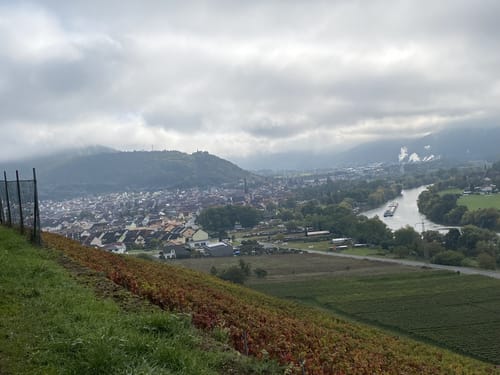 Fränkischer Rotwein Wanderweg Etappe 5: Klingenberg - Großheubach