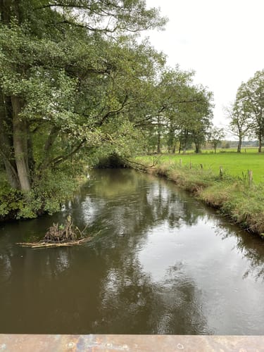 Südheide: Wo Eisvogel und Fischotter Gute Nacht sagen (mittlere Tour)