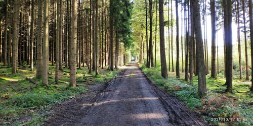 Fachwerkweg (Streifzug #22)