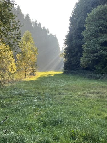 Tandern - Schiltberg