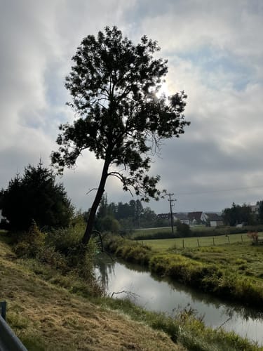 Tandern - Schiltberg