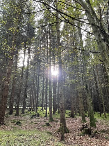 Tandern - Schiltberg