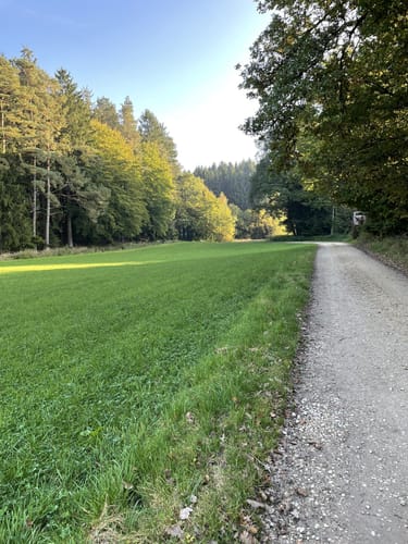 Tandern - Schiltberg