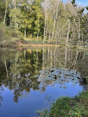 Tandern - Schiltberg