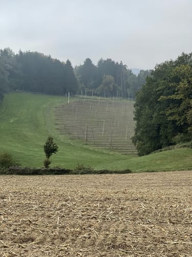 Von Gerolsbach zum Kloster Scheyern
