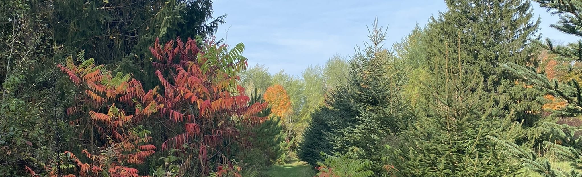 Marden Tract Trail, Ontario, Canada 83 Reviews, Map AllTrails