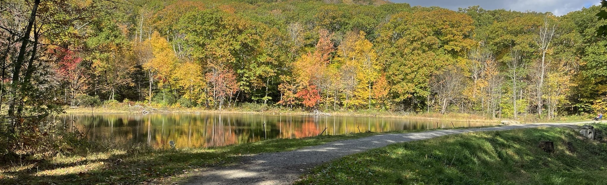 Harrington, Mountain House, Jack Frost, and High Meadow Trail Loop 633