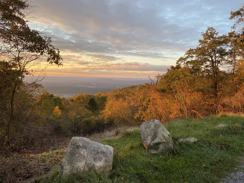 10 Best Hikes and Trails in Bald Eagle State Forest | AllTrails