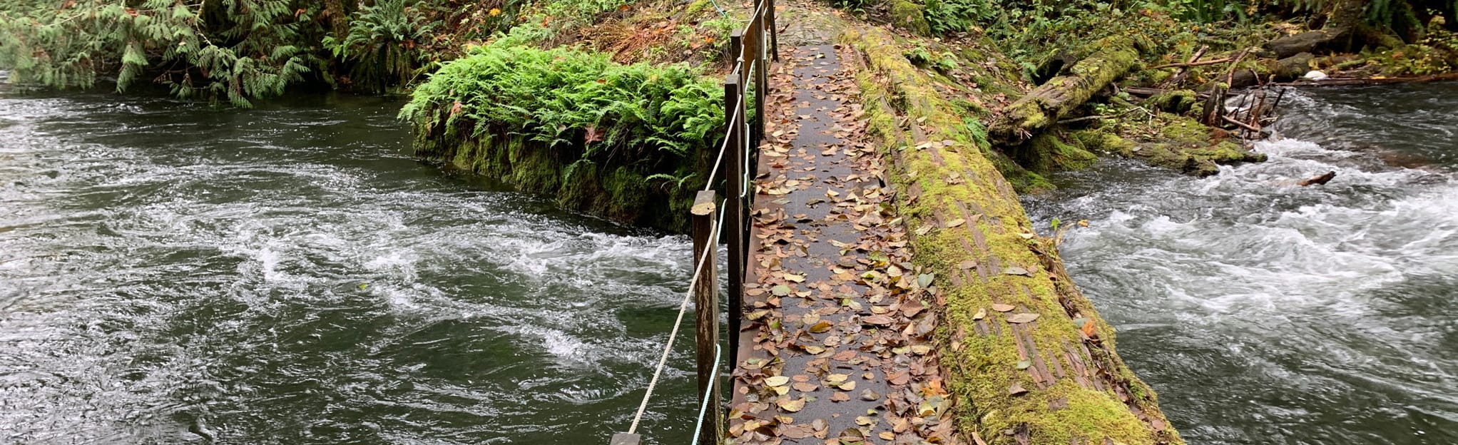 Lower Log Train and Qualicum River Trail Loop Map, Guide British