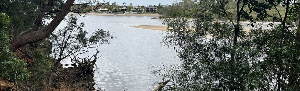 are dogs allowed at tallebudgera creek