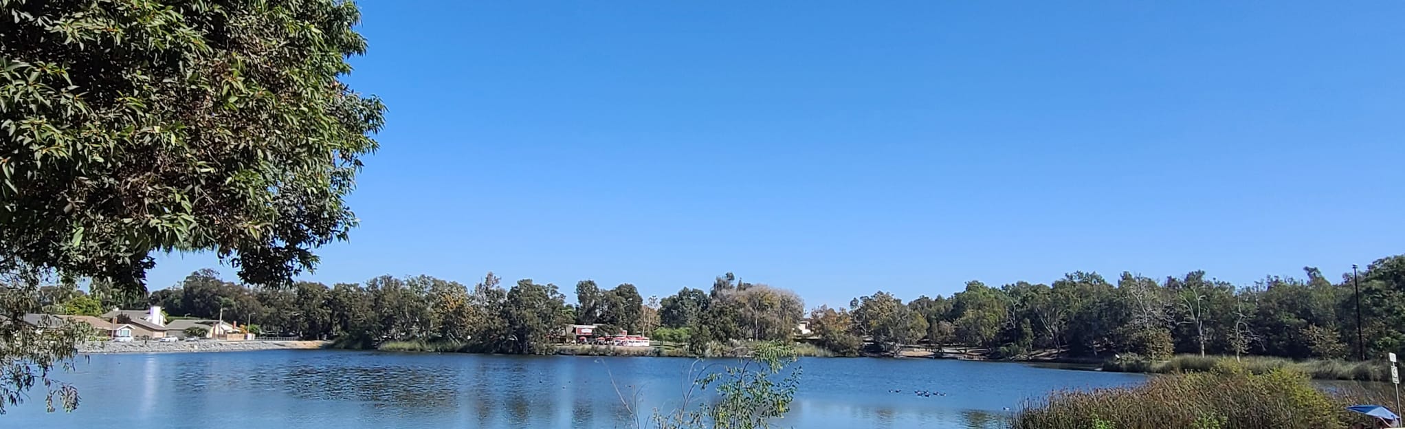 Lake Huntington Trail 348 Reviews, Map California AllTrails