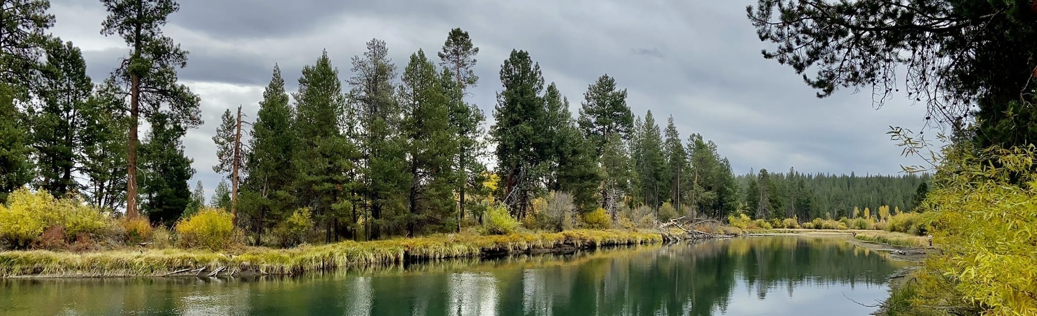 Deschutes River Trail Big Eddy to Benham Falls Campground 50 Reviews, Map Oregon AllTrails