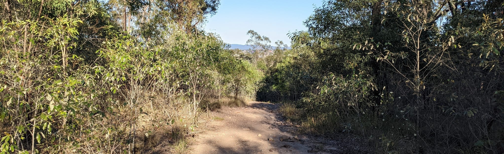 Castle Hill Mountain Bike Trails Mega Loop 17 Reviews, Map