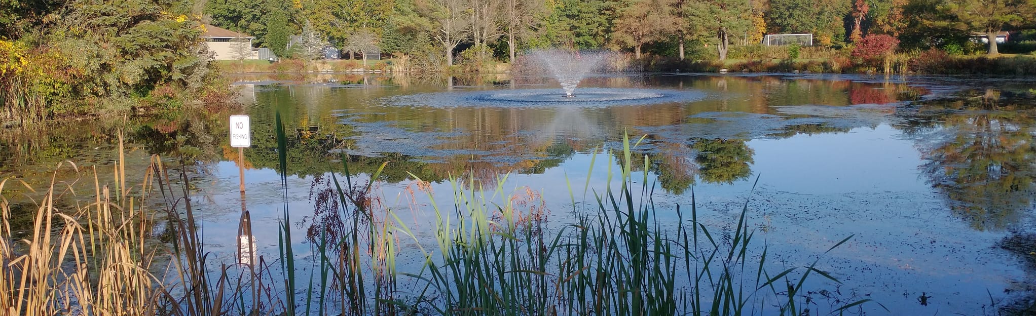 Owen Bell Park Loop 242 Reviews, Map Connecticut AllTrails