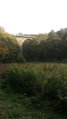 Schilfteich - ­Lützeltal­ - Küchwald