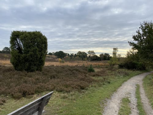 Heidschnuckenweg Etappe 4: Undeloh - Niederhaverbeck