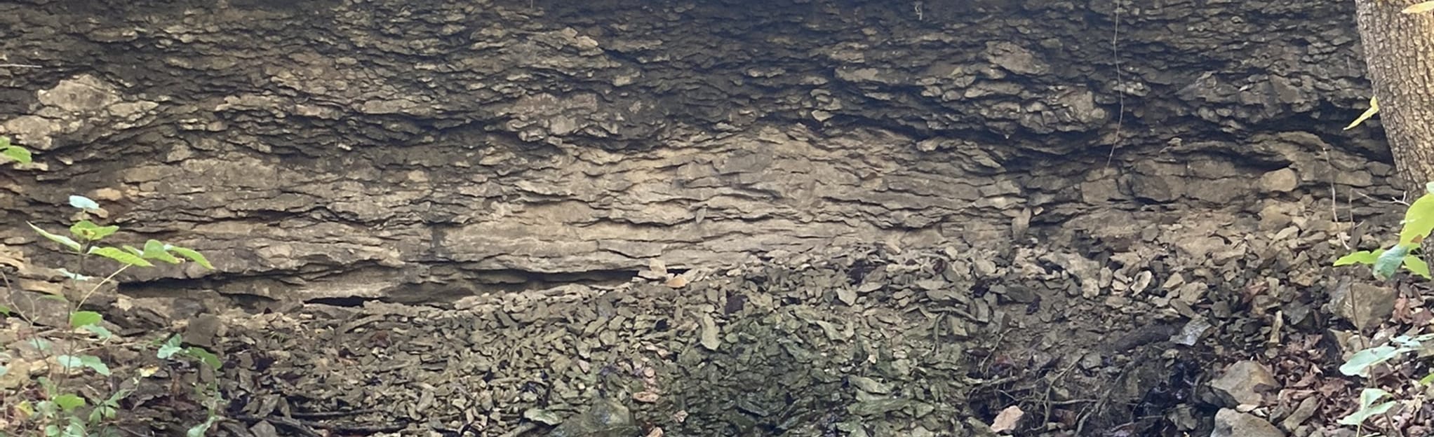 Blue and Gray Park Red Trail 27 Reviews, Map Missouri AllTrails