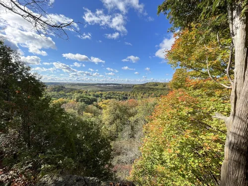 10 Best forest trails in Milton | AllTrails
