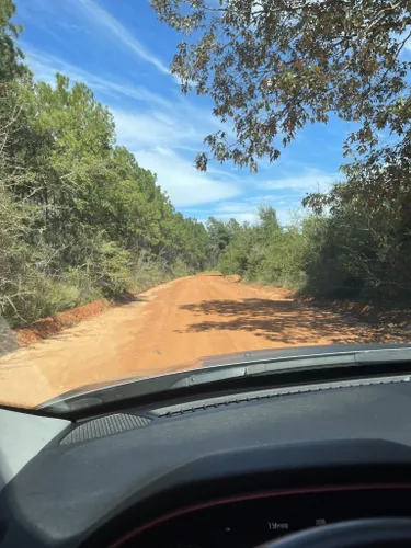10 Best Off Road Driving Trails in Florida