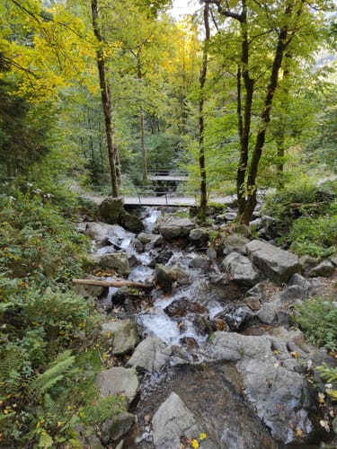 Wasserfallsteig Todtnau (Genießerpfad)