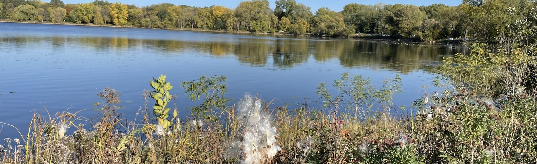 Lake Phalen 591 Reviews, Map Minnesota AllTrails