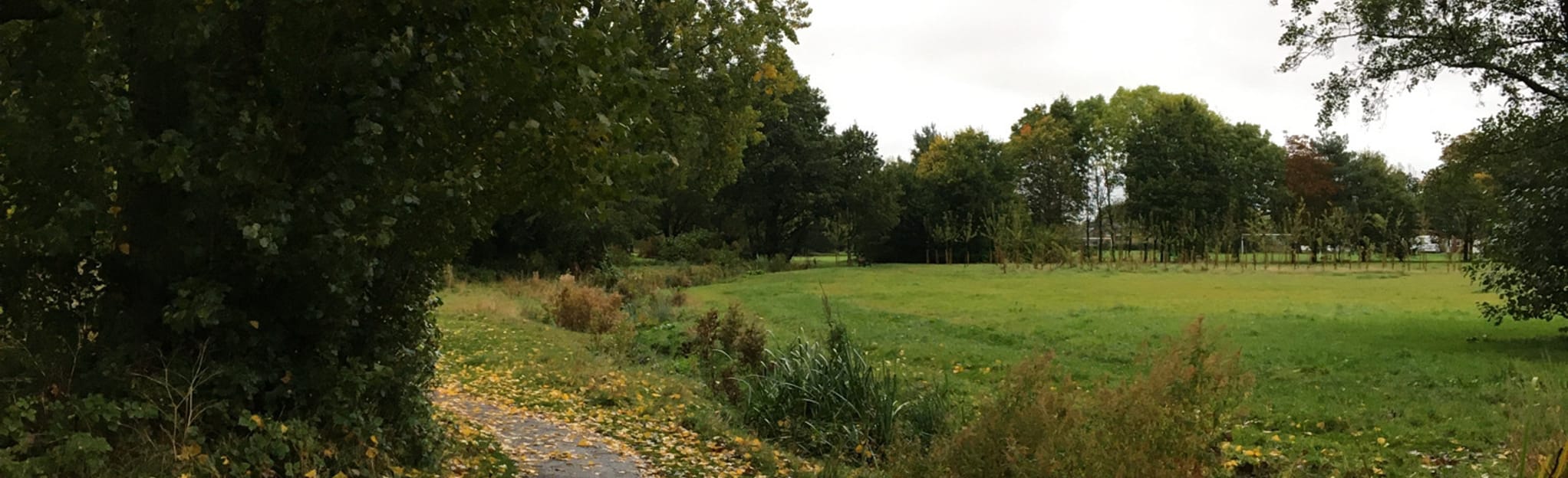 Olton Jubilee Park Circular 238 Reviews, Map West Midlands, England