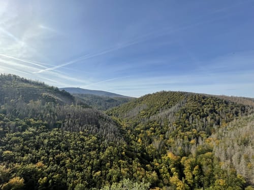 Tänntal und Klosterholz