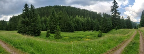 Gehlberg - Kickelhahn - Manebach -Emmastein Mönchhof