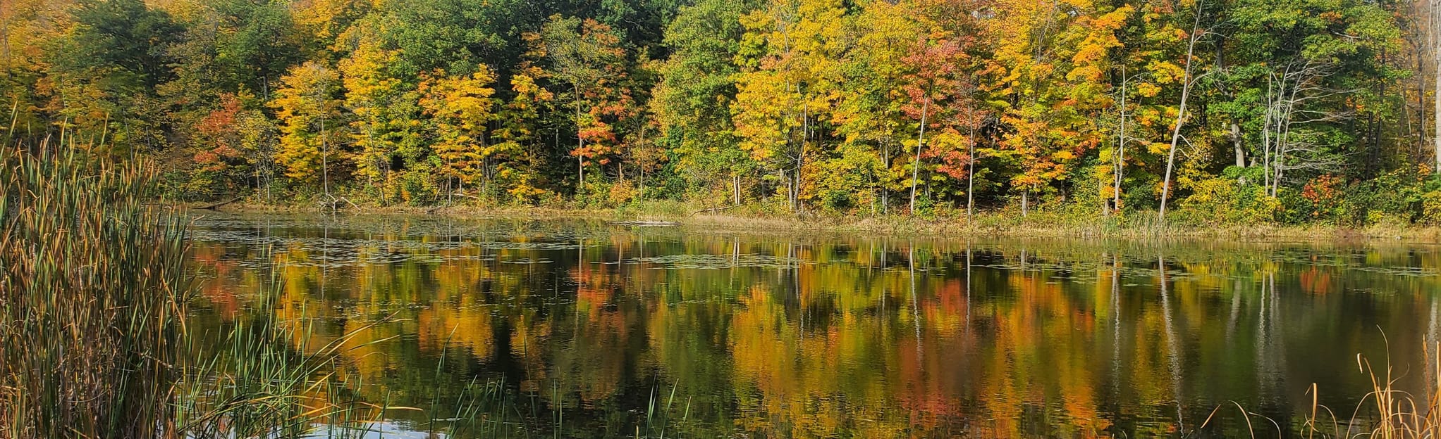 A.F. Coventry, Greydon, and Terra Cotta Lane Trail Ontario, Canada