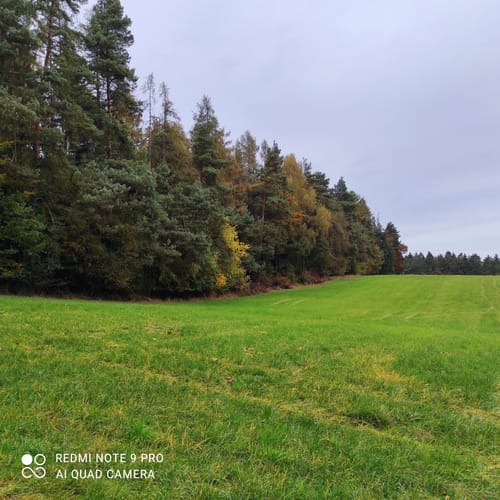 Rundweg zum Hirschberg Aussichtsturm 